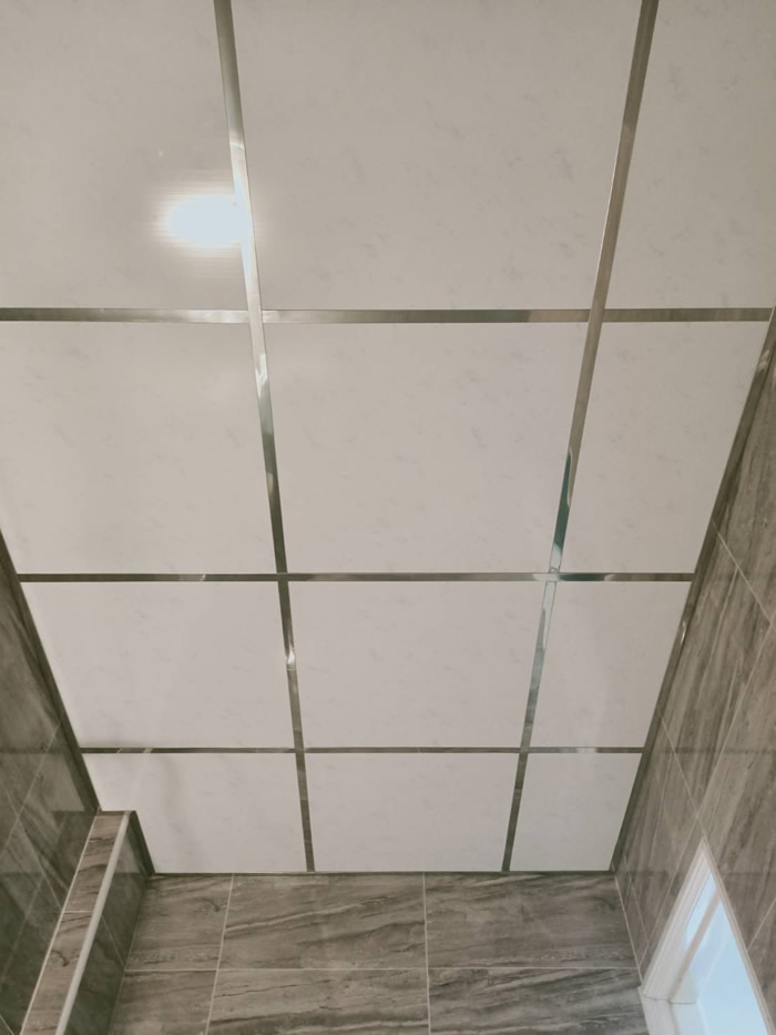 高雄辦公室 : 塑膠板天花板-白鐵骨架-輕鋼架天花板